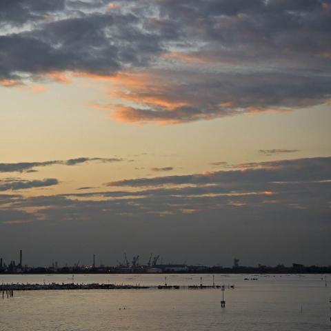Agguato. Venezia, 2016