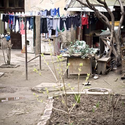 Cortili. Bucarest, 2017