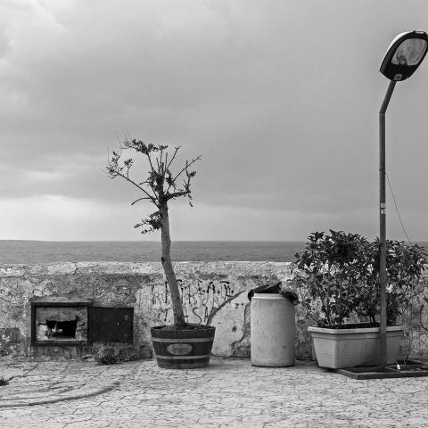 Così. Salento, 2015