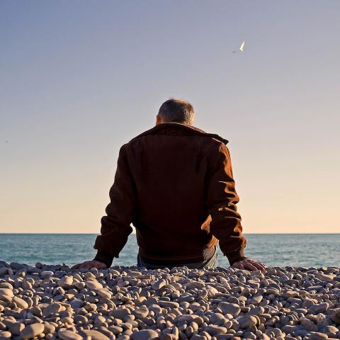 Desolé. 2014