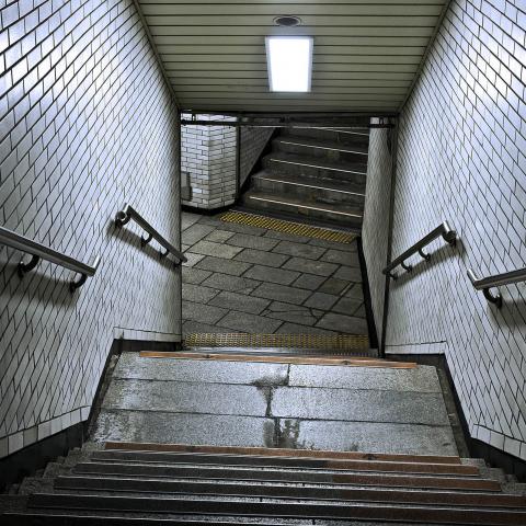 Domino. Seul, 2013