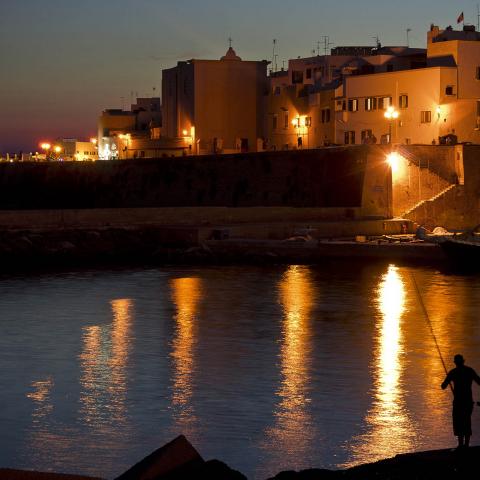Ed io tra di voi. Salento, 2012