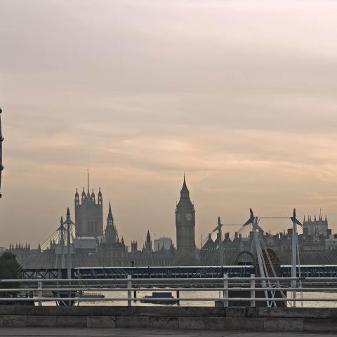Half. London, 2016