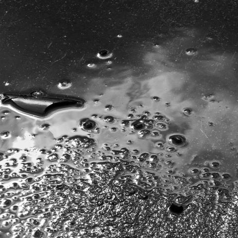 Inspecchiatamente. Lago Iseo, 2012