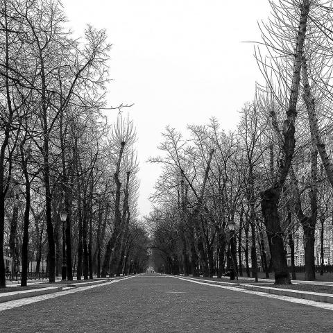Paseo. Mosca, 2012
