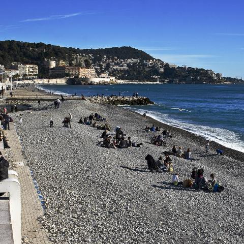 Postcard. Costa Azzurra, 2013