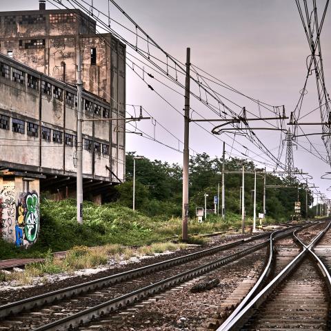 DDR. Brescia, 2017