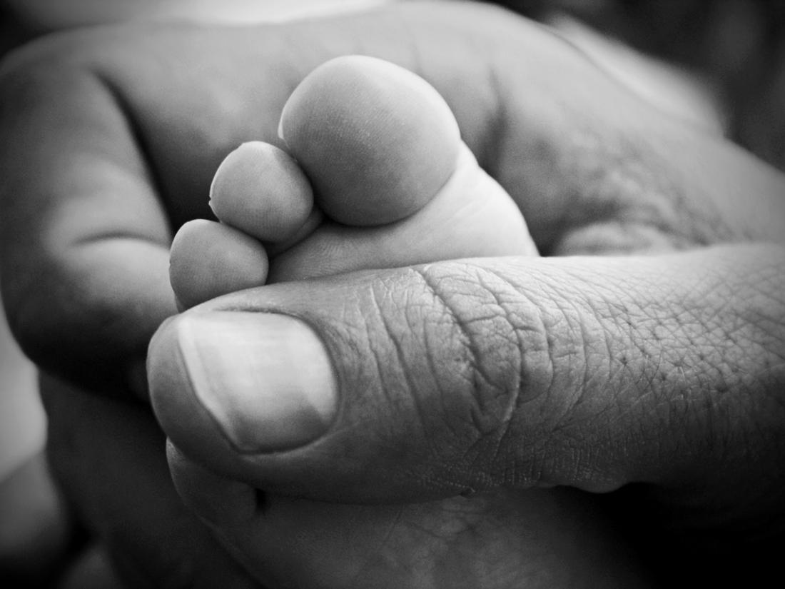 Egalitè fraternitè Paternitè. 2012