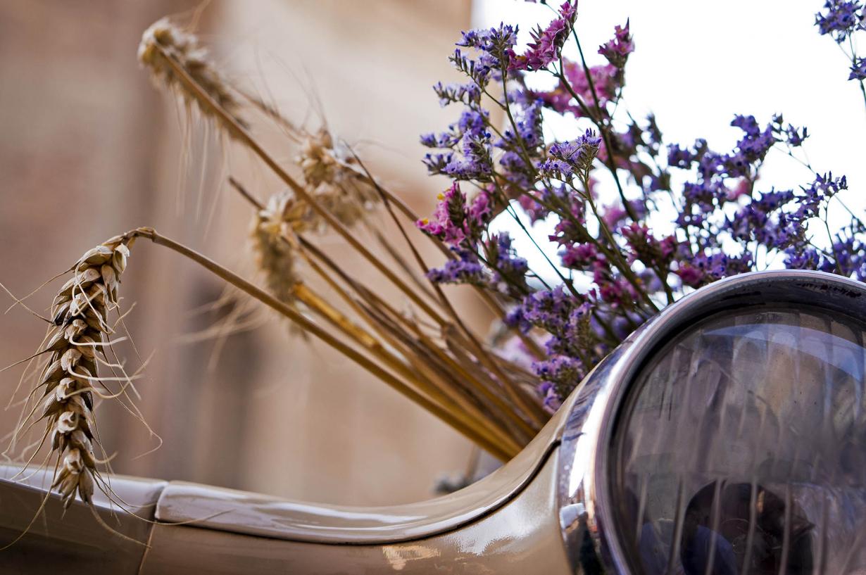 Fleurs. Brescia, 2015