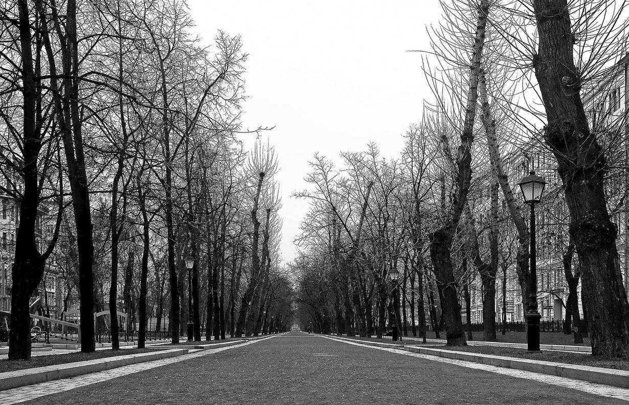 Paseo. Mosca, 2012